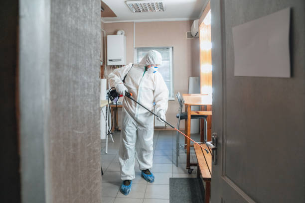 Biohazard Mold Removal in Collinsville, AL